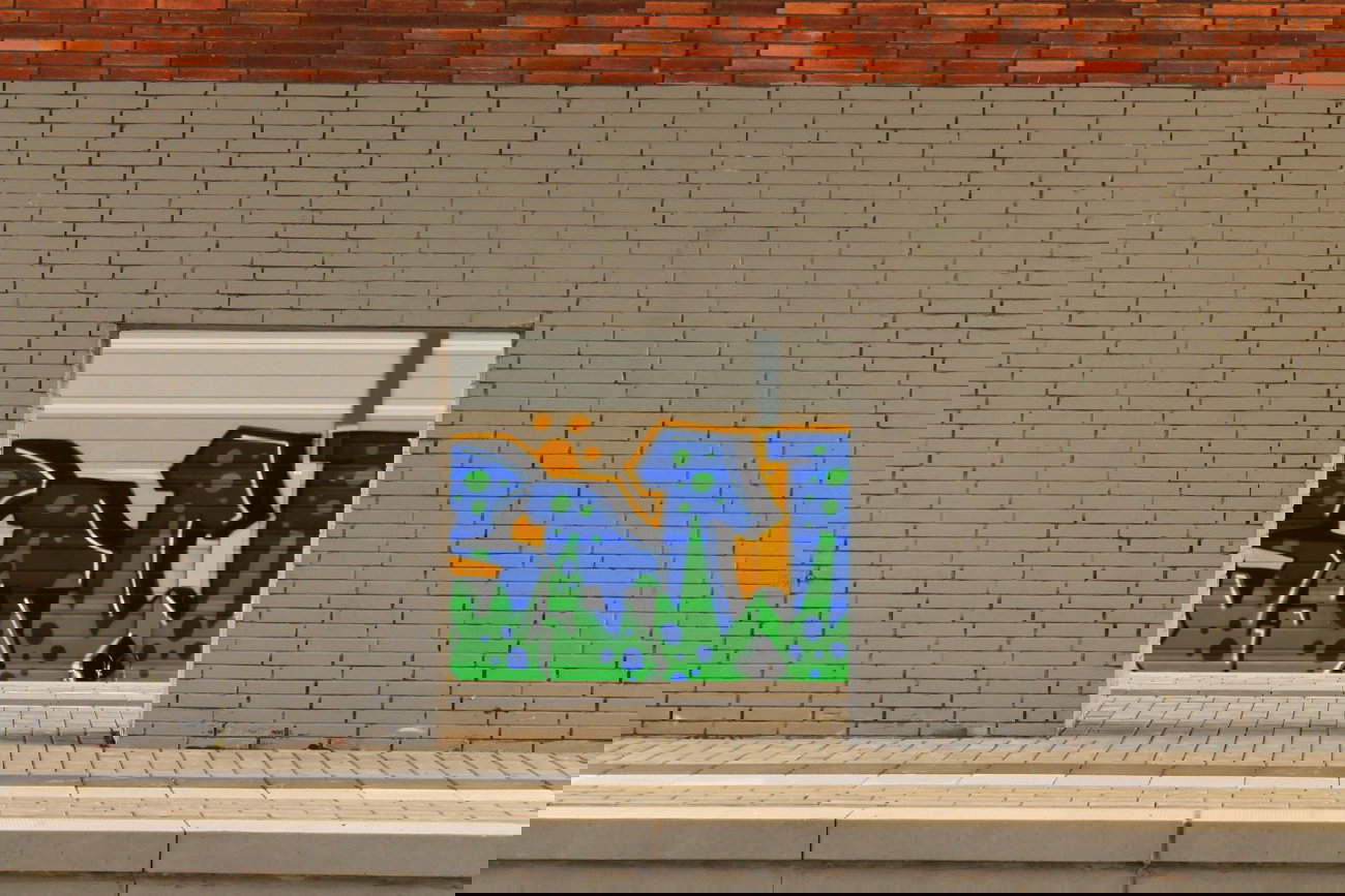 Graffiti Bombing - Photo by 505er