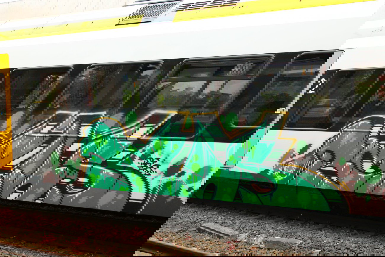 Graffiti Train - Photo by 505er - beks