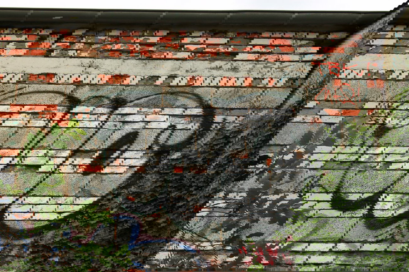 Graffiti Bombing - Photo by 505er - no