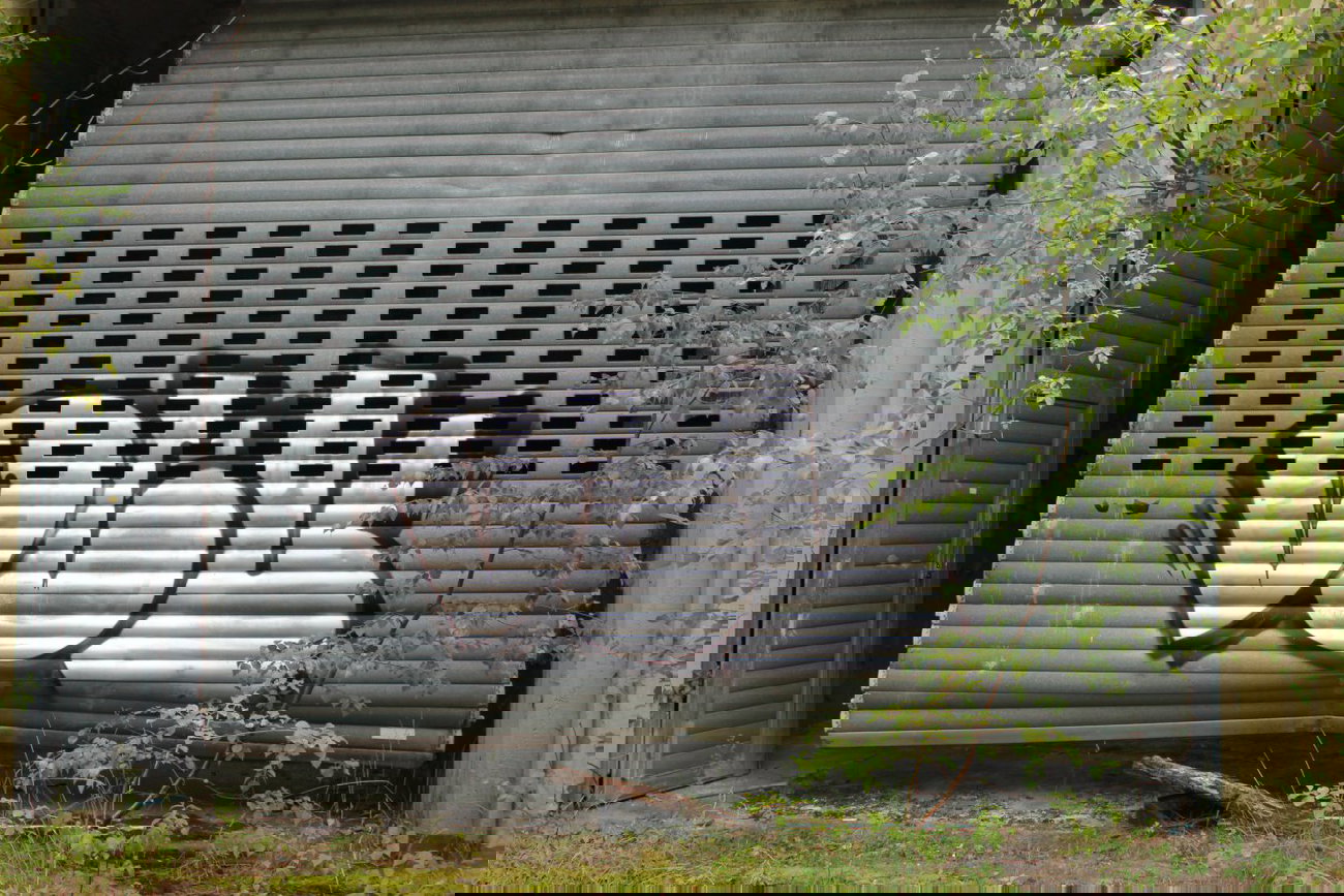 Graffiti Bombing - Photo by 505er - dcv