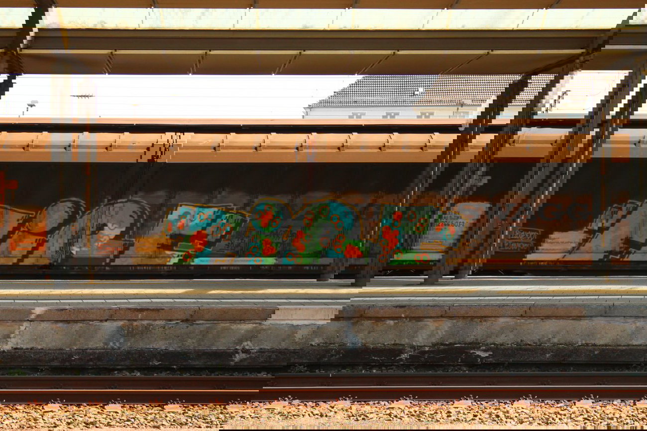 Graffiti Train - Photo by 505er - fire