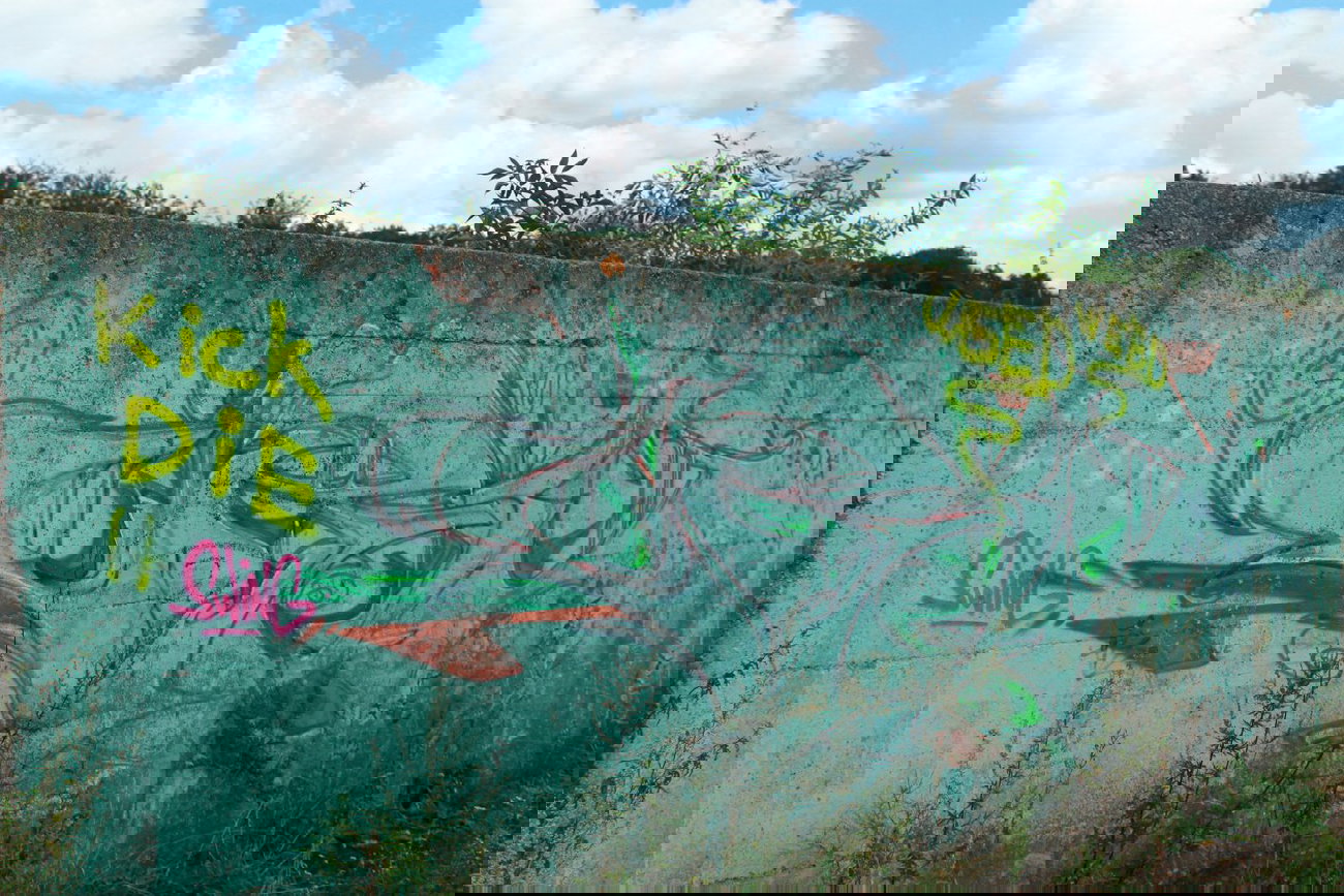 Graffiti Wall - Photo by 505er - iris