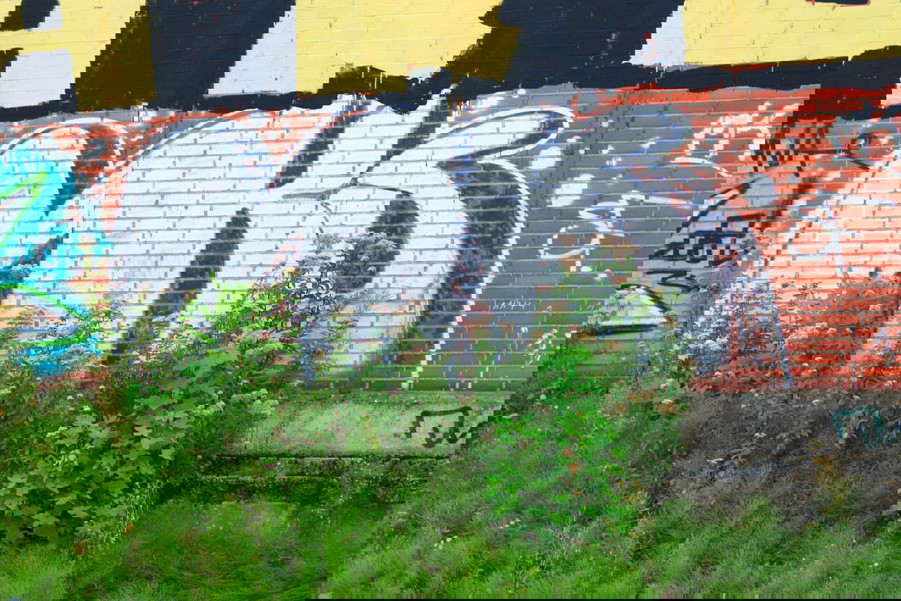 Graffiti Bombing - Photo by 505er - mks