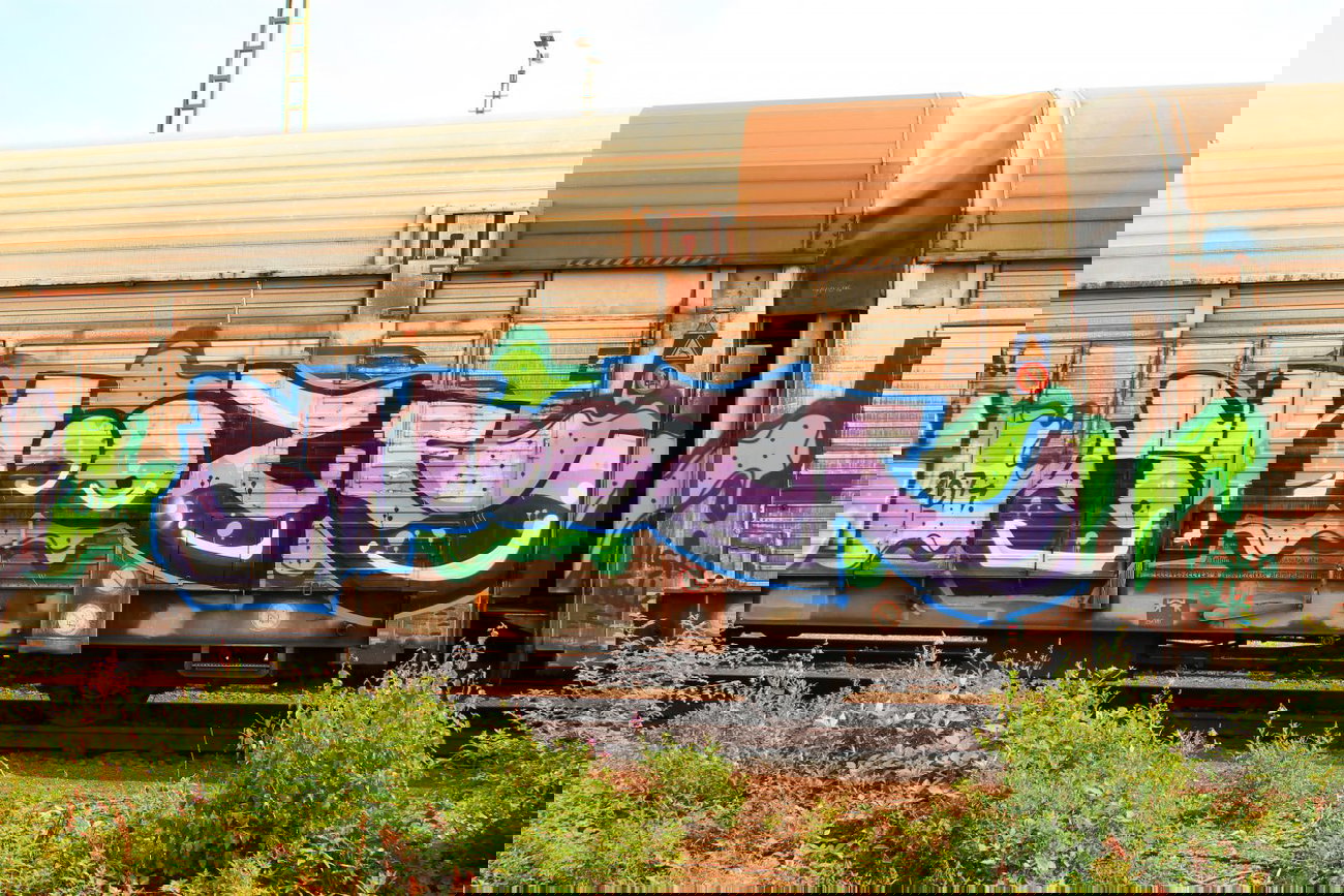 Graffiti Train - Photo by 505er - snooze
