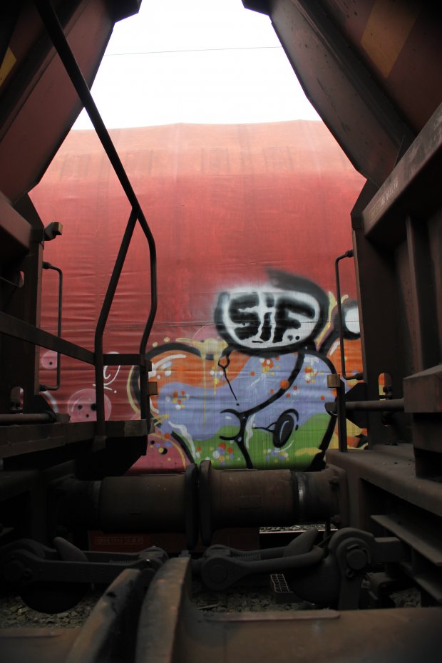 Graffiti Train - Photo by 505er - sif