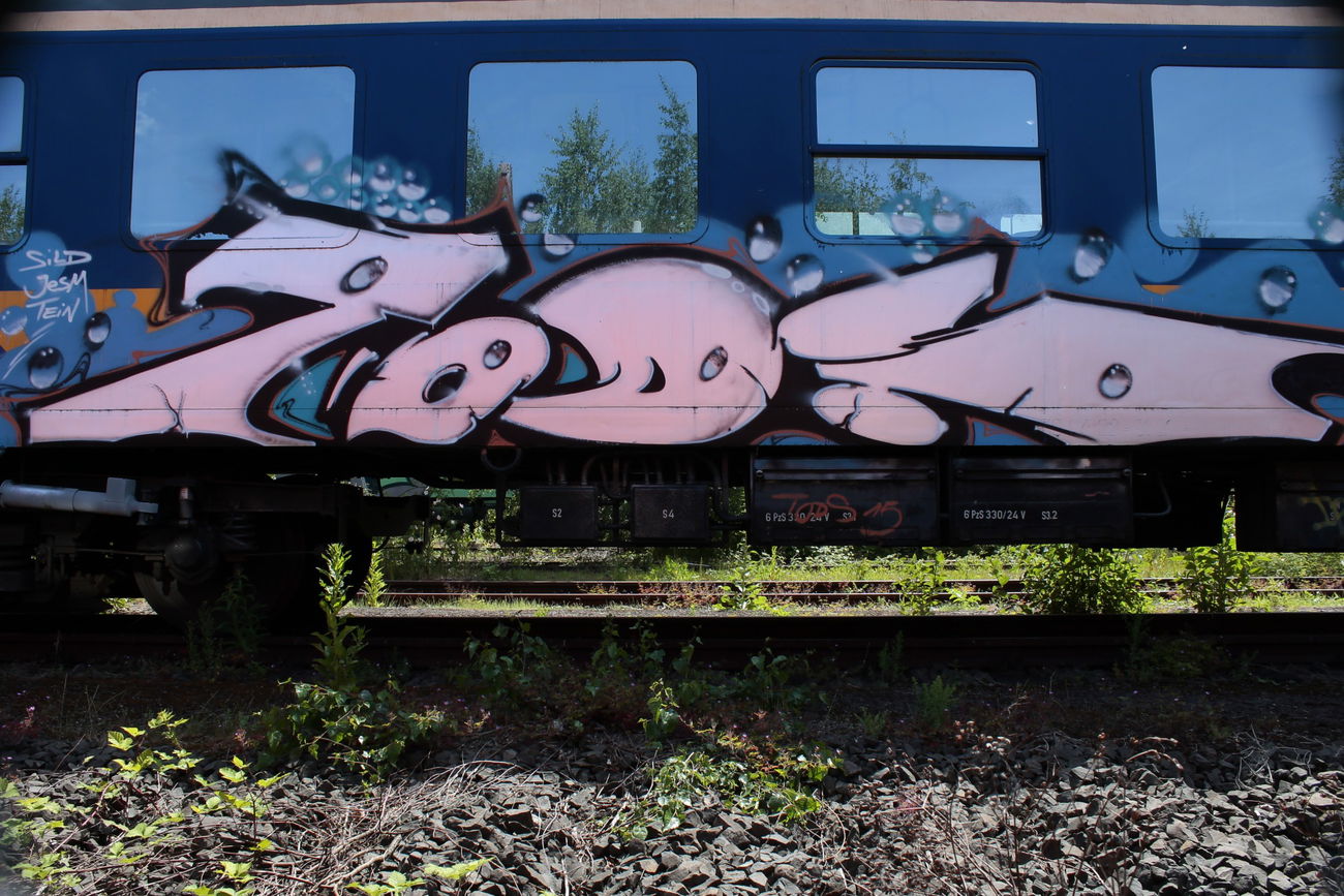 Graffiti Train - Photo by 505er - tods
