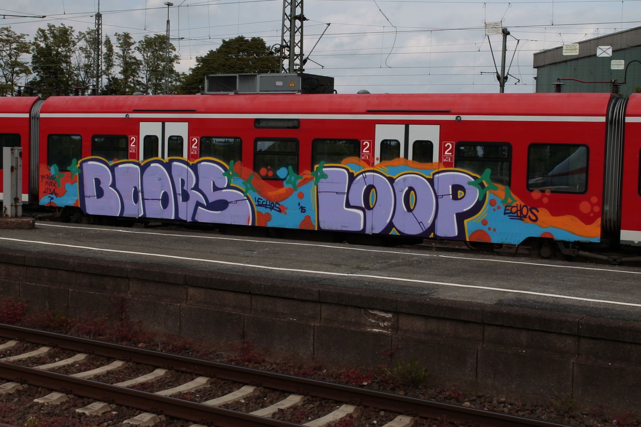 Graffiti Train - Photo by 505er - boobs, loop