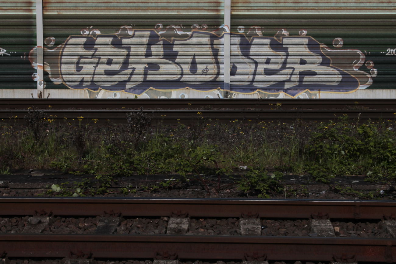 Graffiti Bombing - Photo by 505er - gekoder