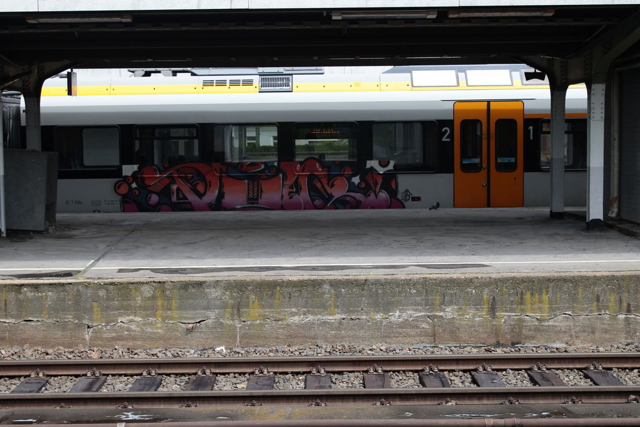 Graffiti Train - Photo by 505er - puls