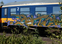Graffiti Train - Photo by 505er - patch