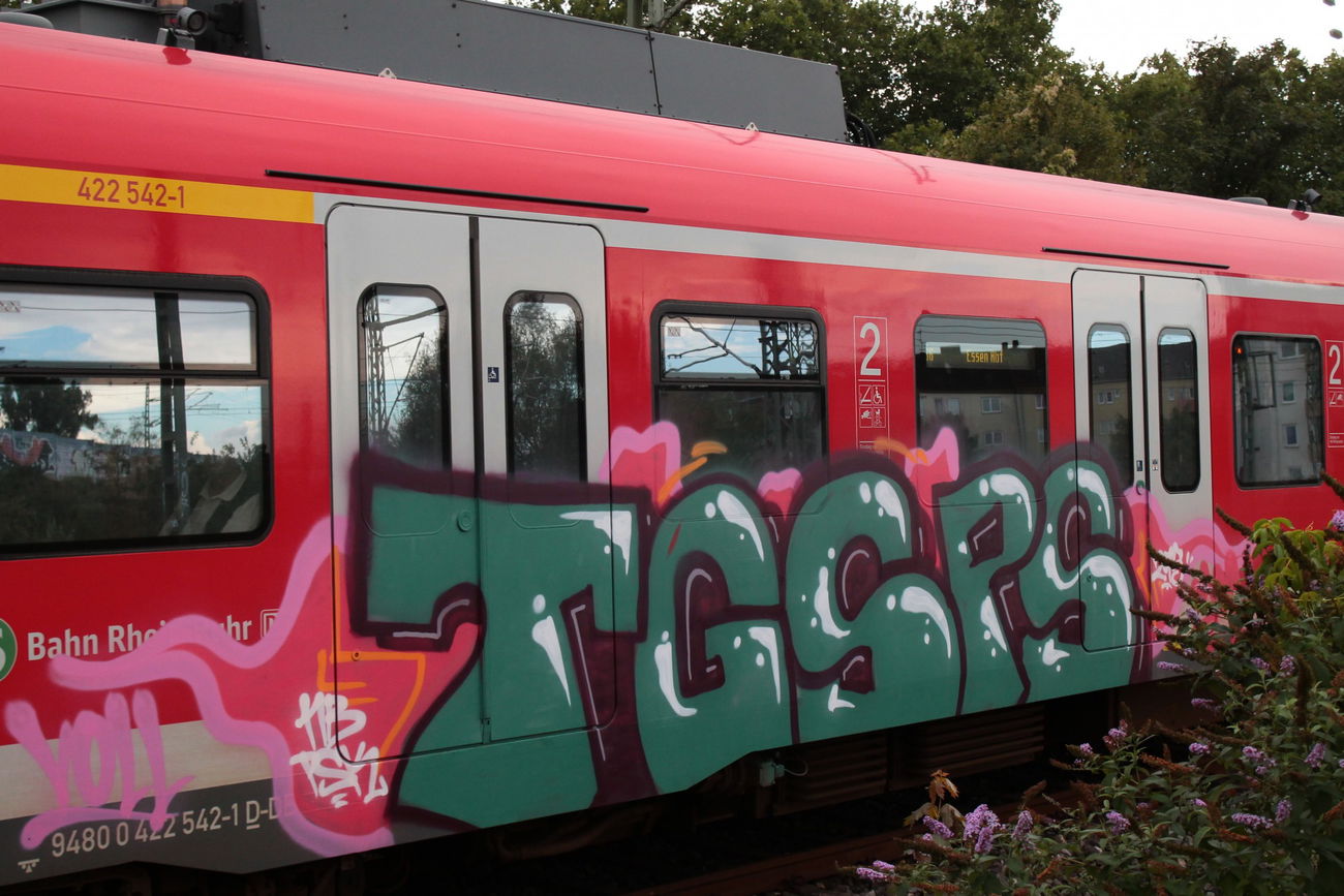 Graffiti Train - Photo by 505er - tgsps