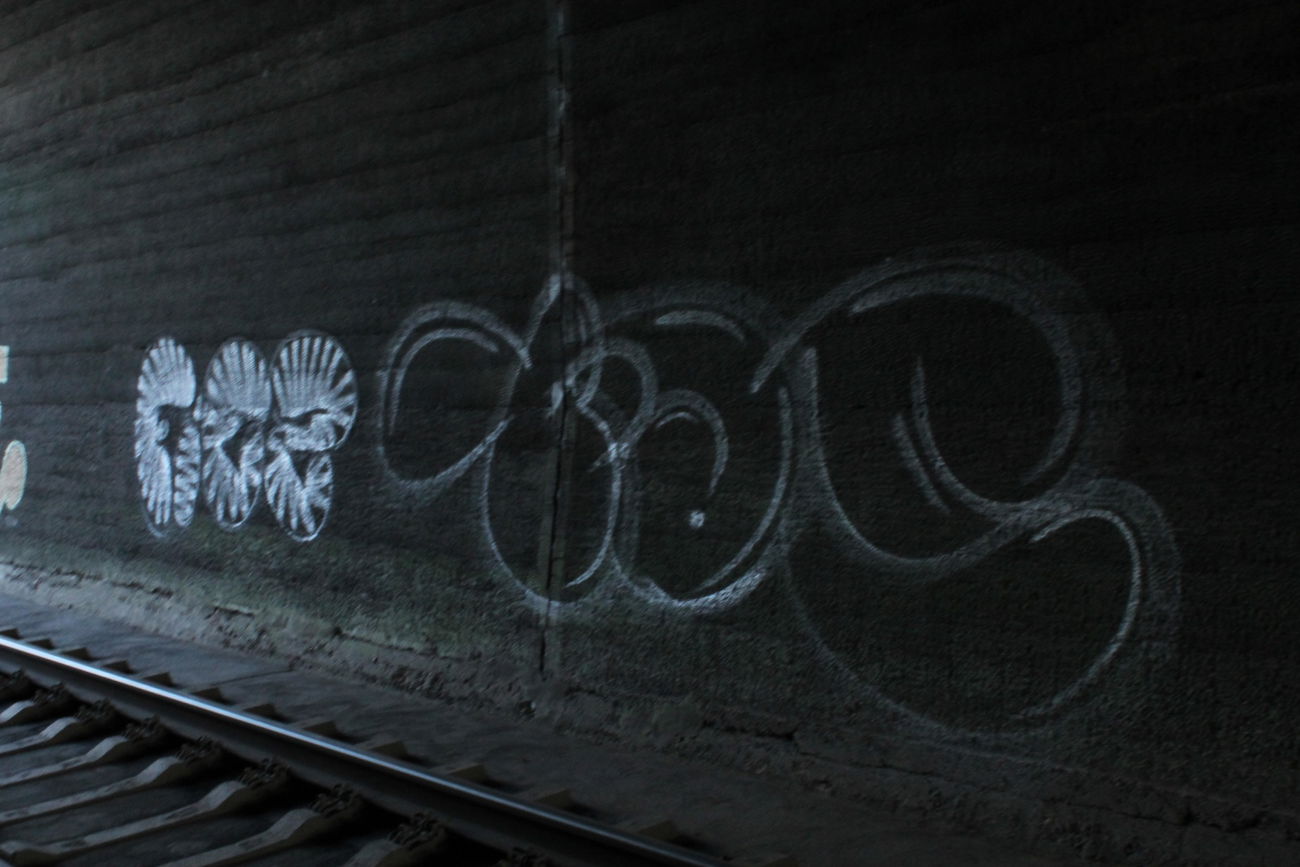Graffiti Bombing - Photo by 505er