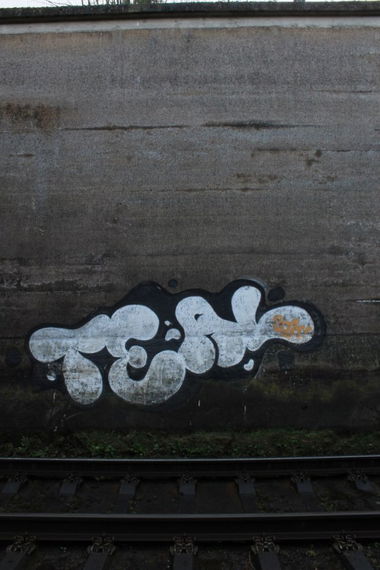 Graffiti Bombing - Photo by 505er - teal