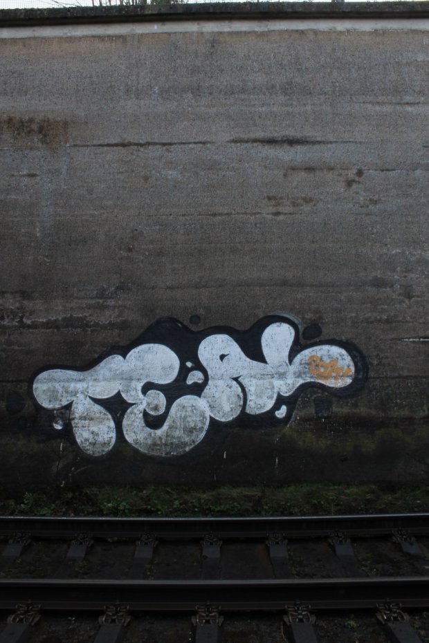 Graffiti Bombing - Photo by 505er - teal