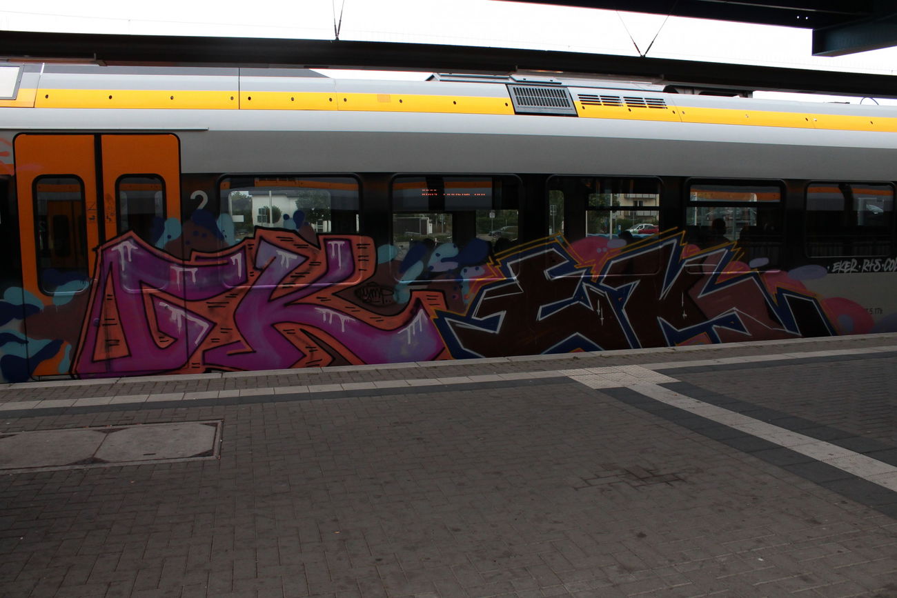 Graffiti Train - Photo by 505er - gk, ek