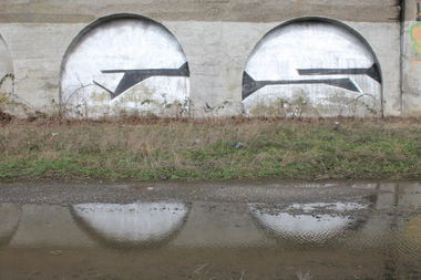 Graffiti Bombing - Photo by 505er - es