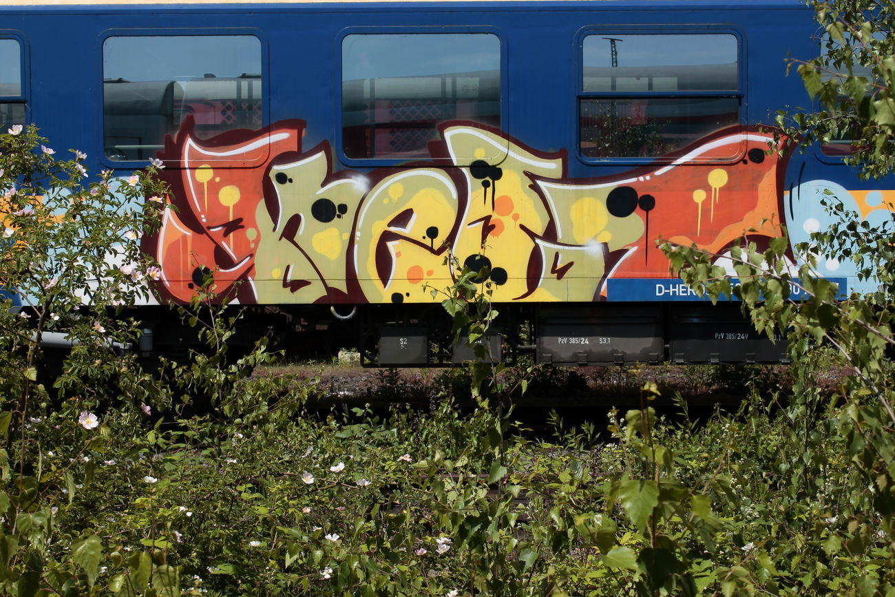 Graffiti Train - Photo by 505er - kelt