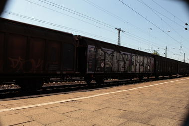 Graffiti Train - Photo by 505er - bear, bers