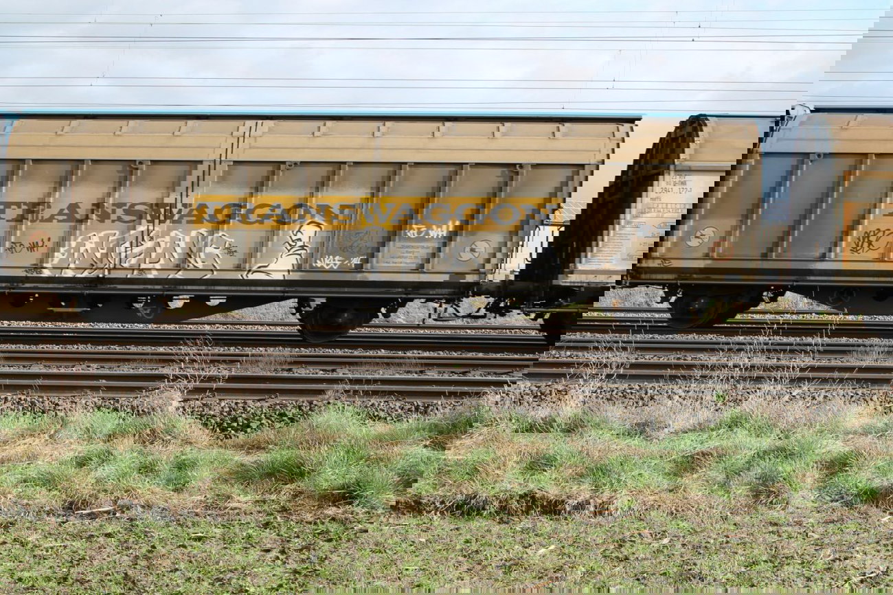 Graffiti Train - Photo by 505er