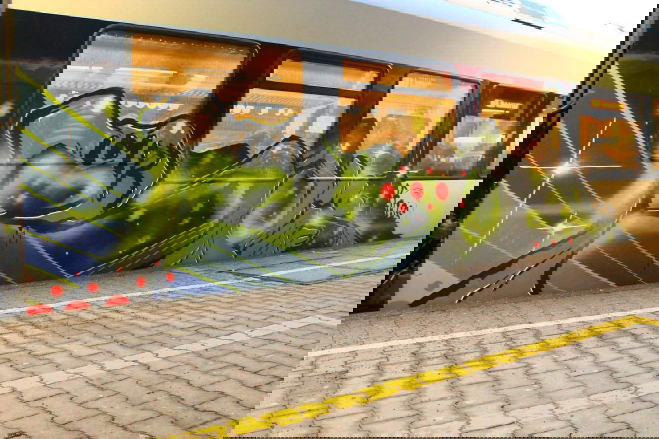 Graffiti Train - Photo by 505er - Rois