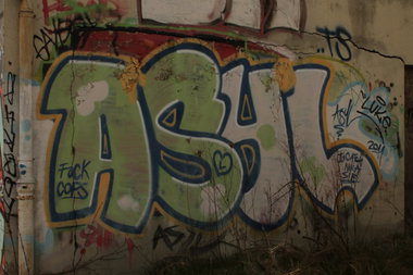 Graffiti Bombing - Photo by 505er - asyl