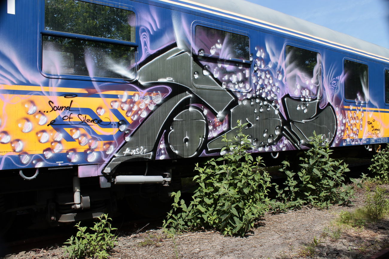 Graffiti Train - Photo by 505er - tods