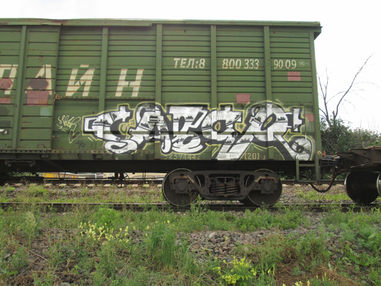 Graffiti Train - Photo by 5483r143 - freight (2016)