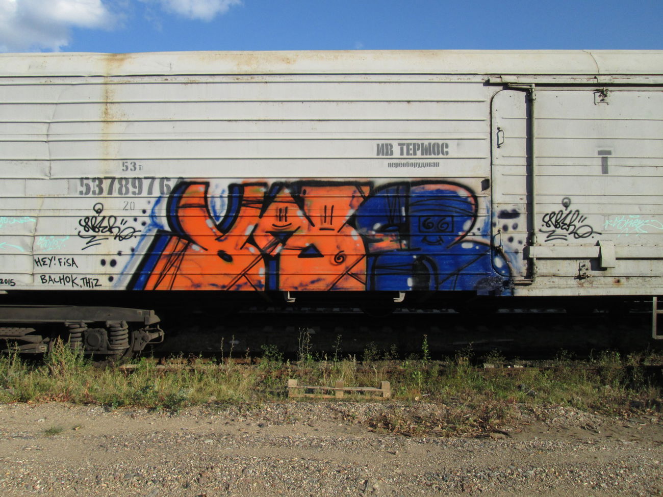 Graffiti Train - Photo by 5483r143 - freight (2015)