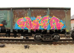 Graffiti Train - Photo by 5483r143 - fr8 (2019)