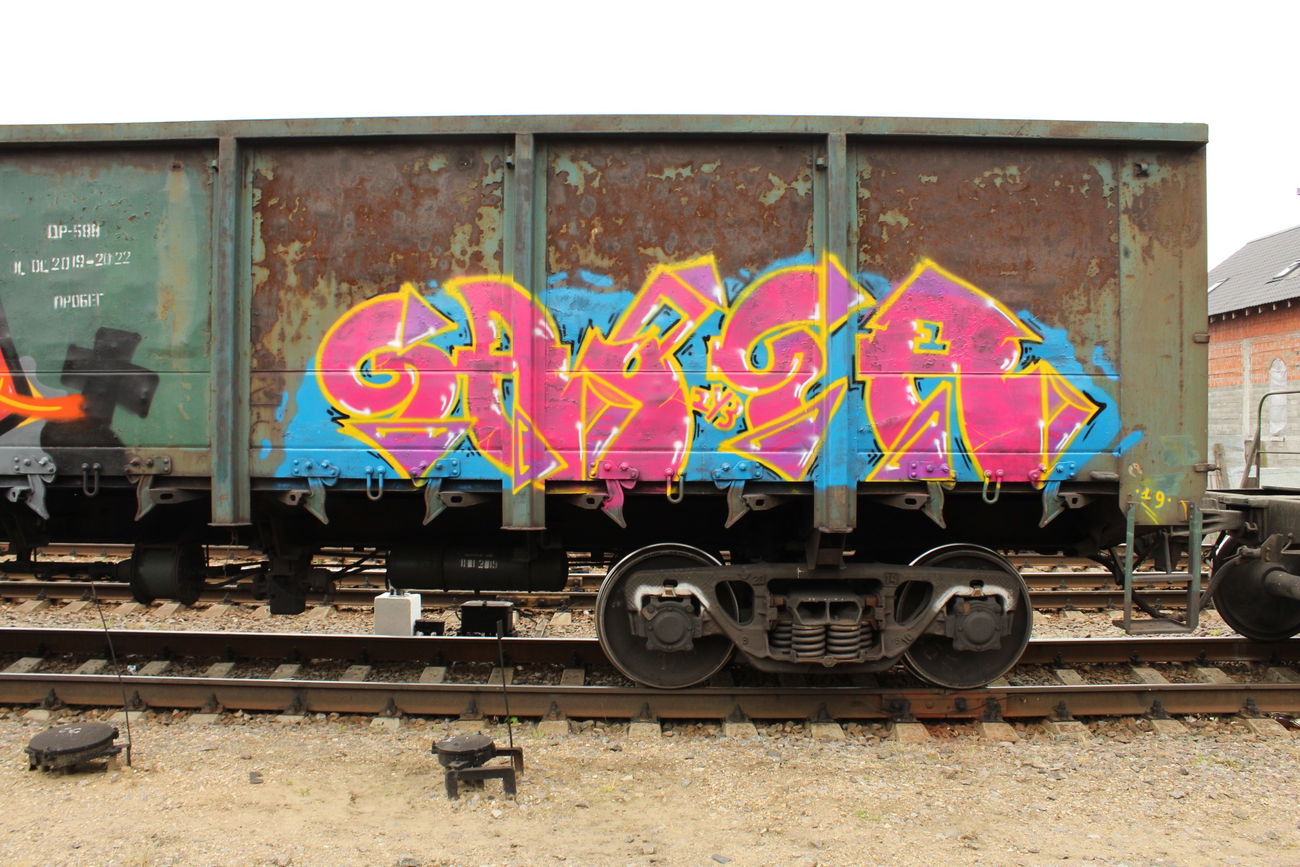 Graffiti Train - Photo by 5483r143 - fr8 (2019)