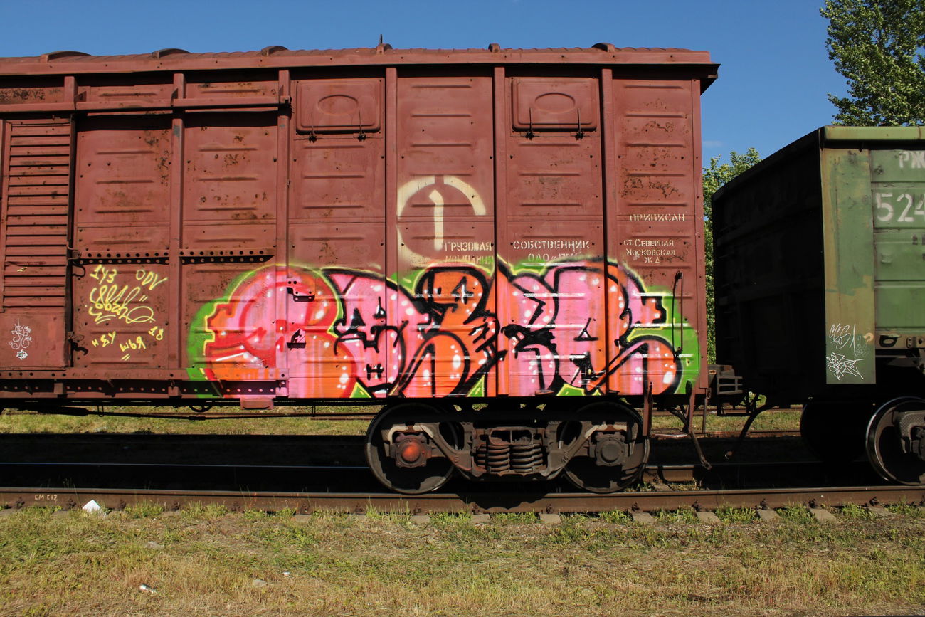 Graffiti Train - Photo by 5483r143 - freight (2018)