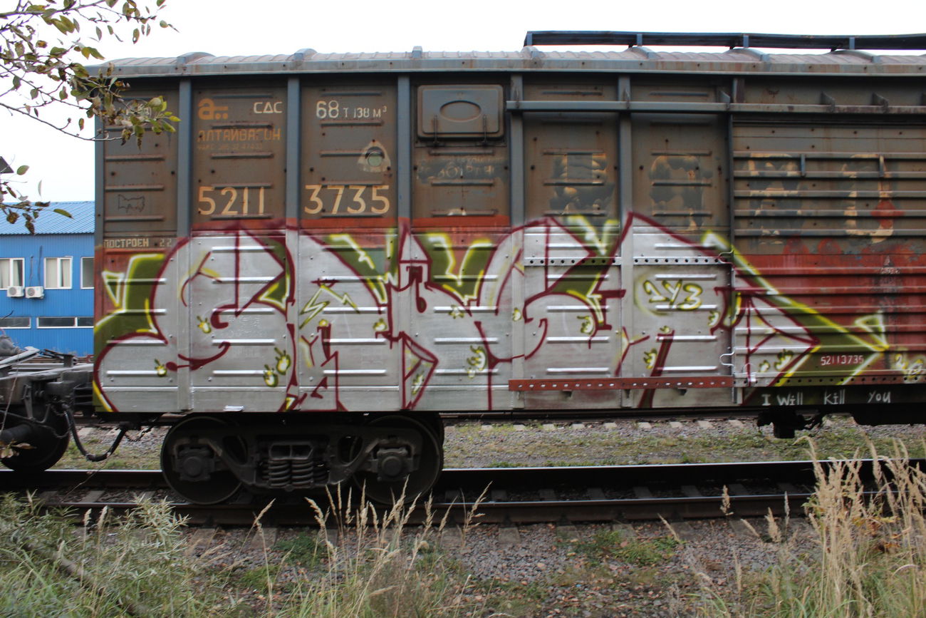 Graffiti Train - Photo by 5483r143 - freight (2020)
