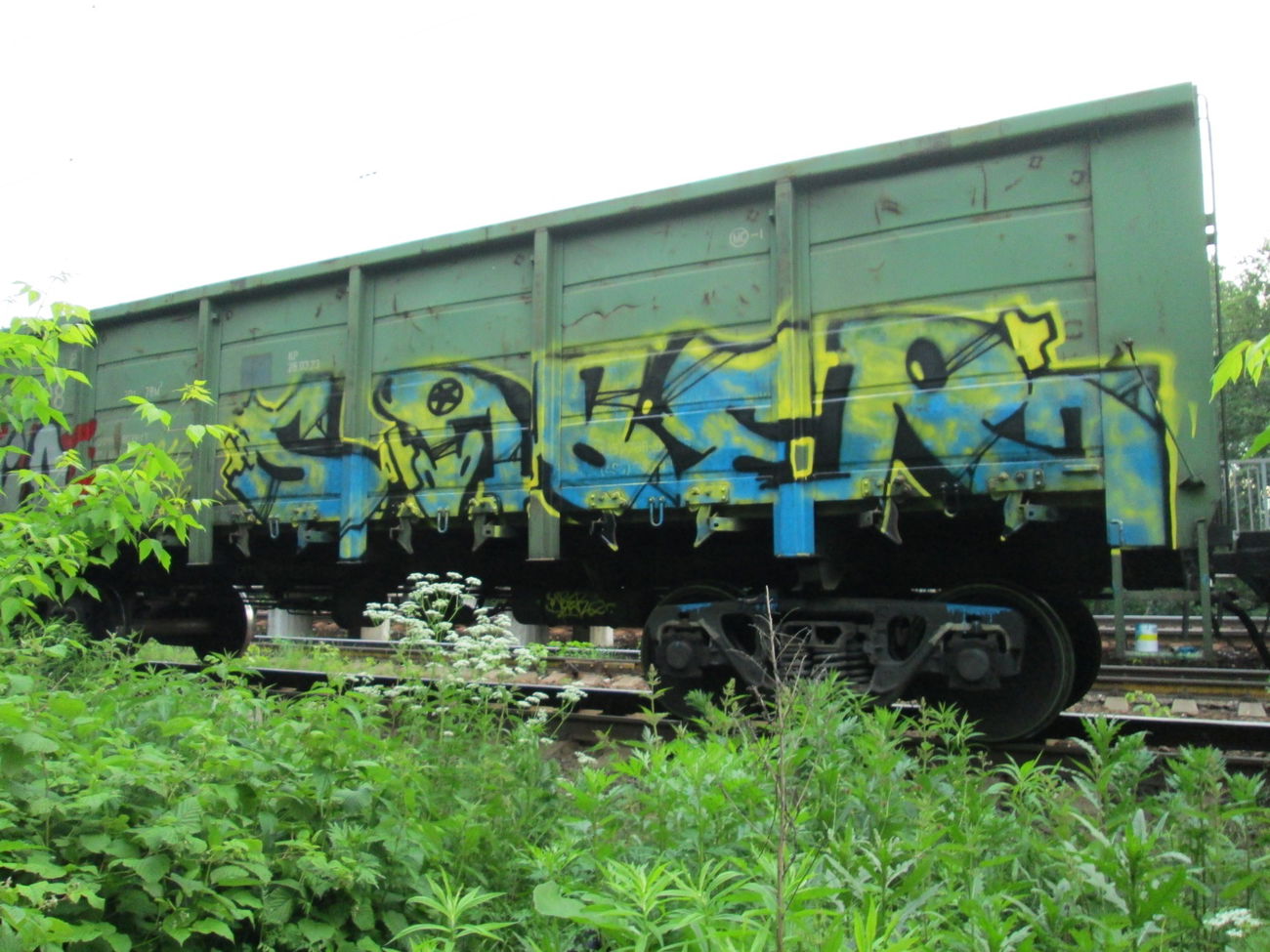 Graffiti Train - Photo by 5483r143 - freight (2016)