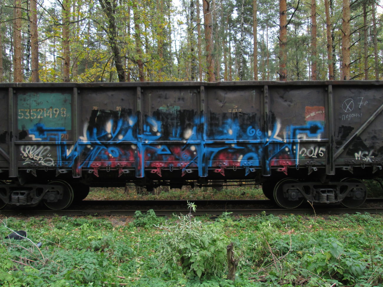 Graffiti Train - Photo by 5483r143 - freight (2015)