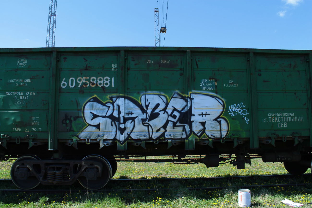 Graffiti Train - Photo by 5483r143 - freight (2017)