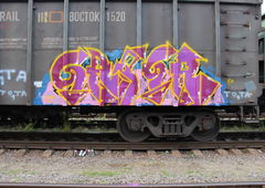 Graffiti Train - Photo by 5483r143 - fr8 (2019)