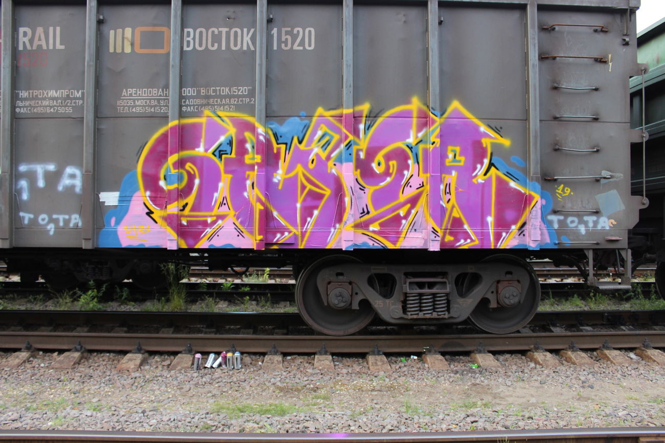 Graffiti Train - Photo by 5483r143 - fr8 (2019)