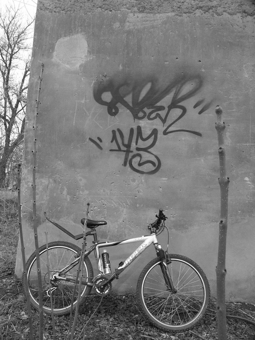 Graffiti Wall - Photo by 5483r143 (2012)