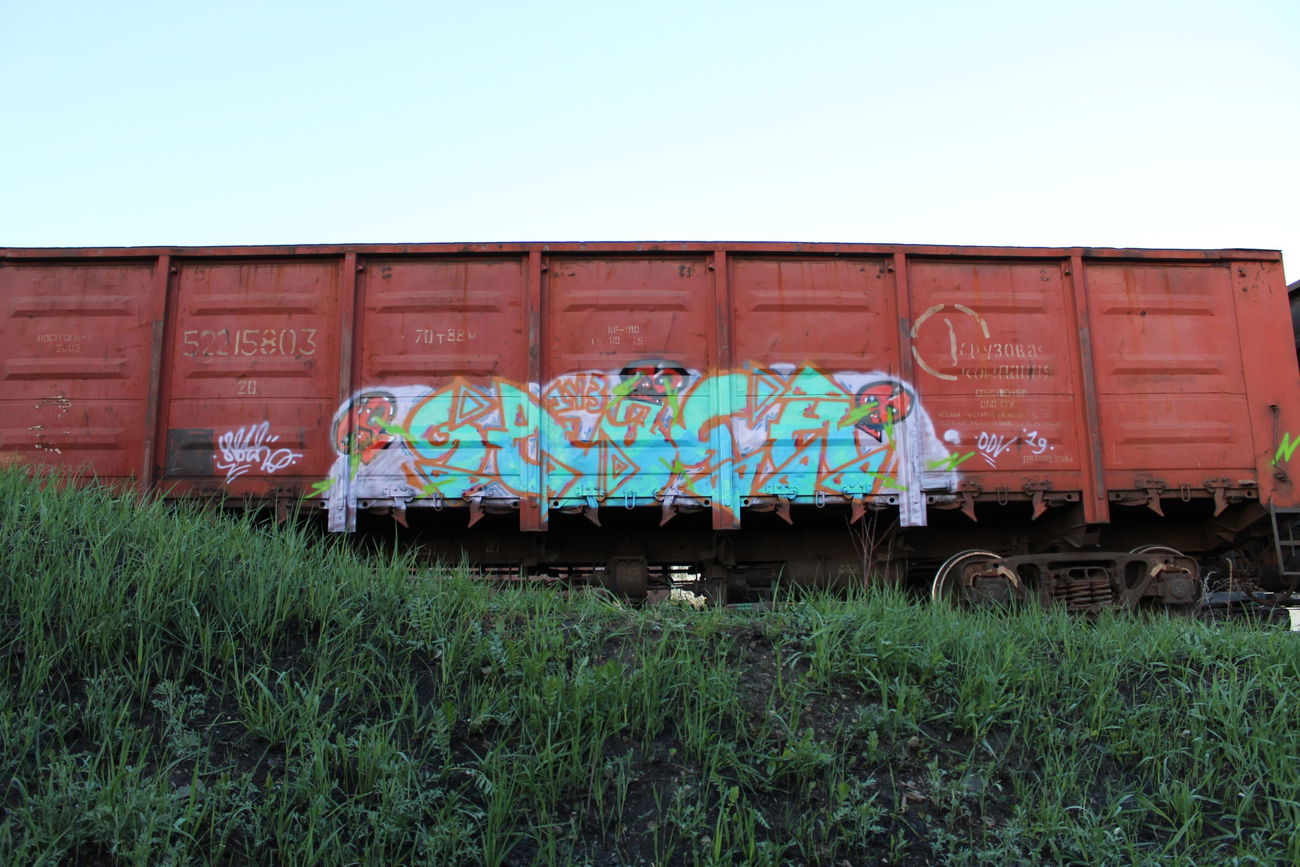 Graffiti Train - Photo by 5483r143 - freight (2019)