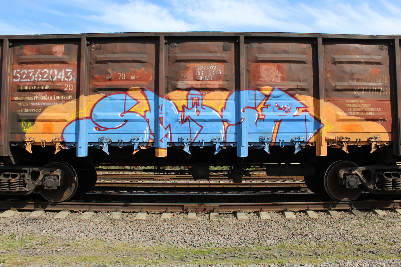 Graffiti Train - Photo by 5483r143 - fr8 (2020)