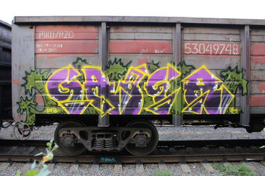 Graffiti Train - Photo by 5483r143 - fr8 (2019)