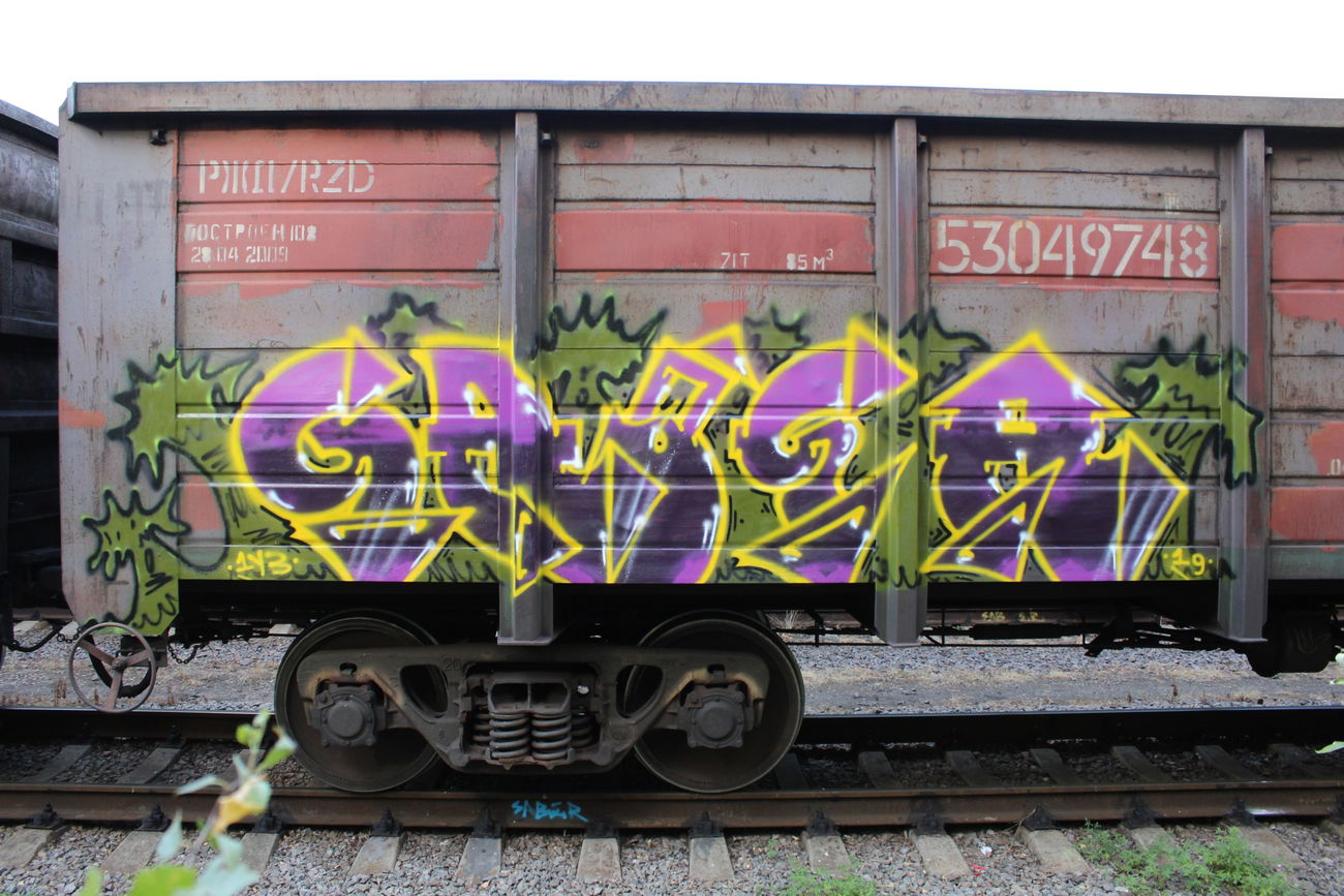 Graffiti Train - Photo by 5483r143 - fr8 (2019)