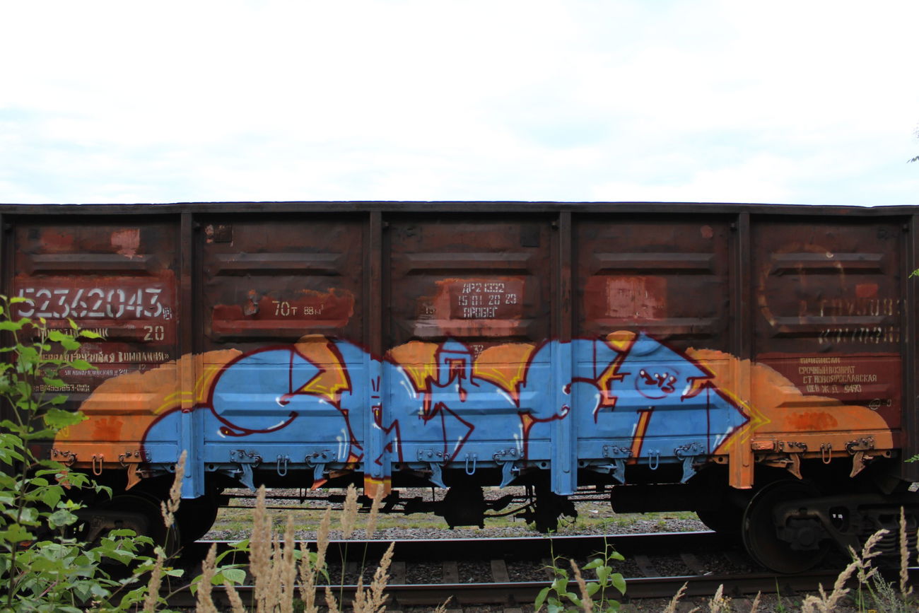 Graffiti Train - Photo by 5483r143 - freight (2020)