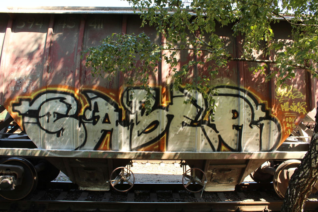 Graffiti Train - Photo by 5483r143 - freight (2018)
