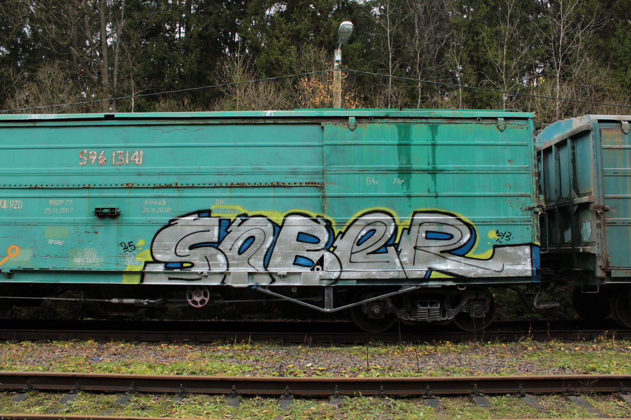 Graffiti Train - Photo by 5483r143 - fr8, freighttraingraffiti, chrome (2025)