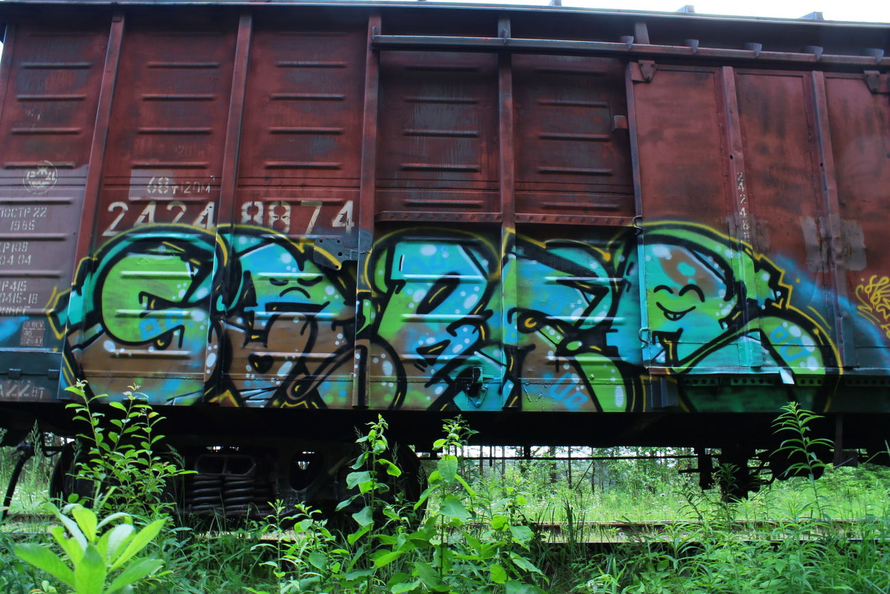 Graffiti Train - Photo by 5483r143 - freight (2017)