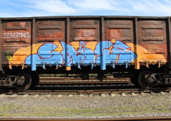 Graffiti Train - Photo by 5483r143 - freight (2020)