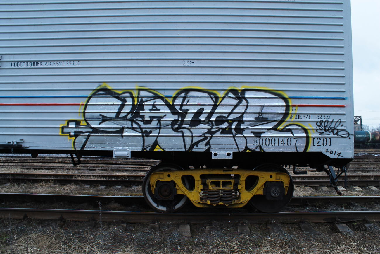 Graffiti Train - Photo by 5483r143 - freight (2017)