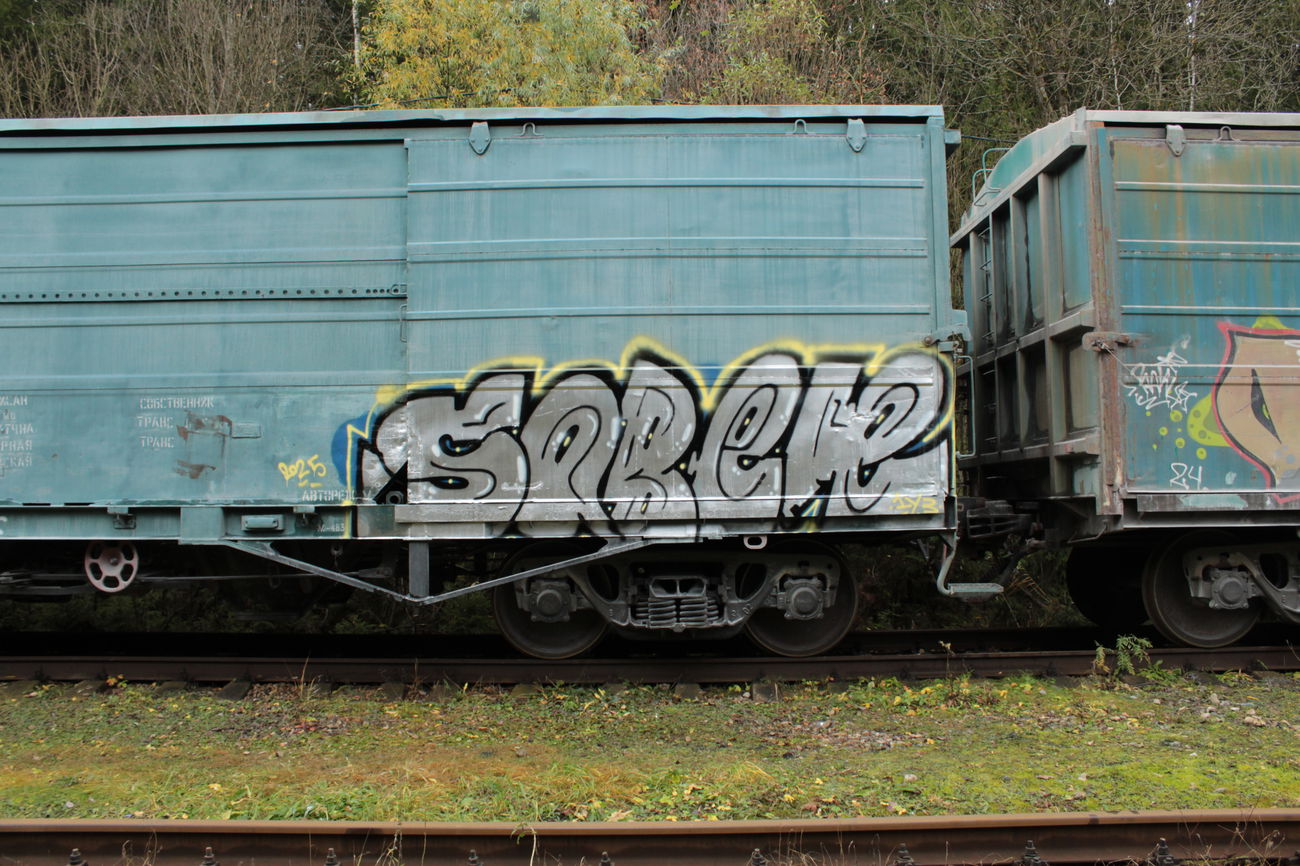 Graffiti Train - Photo by 5483r143 - fr8, freighttraingraffiti, chrome (2025)