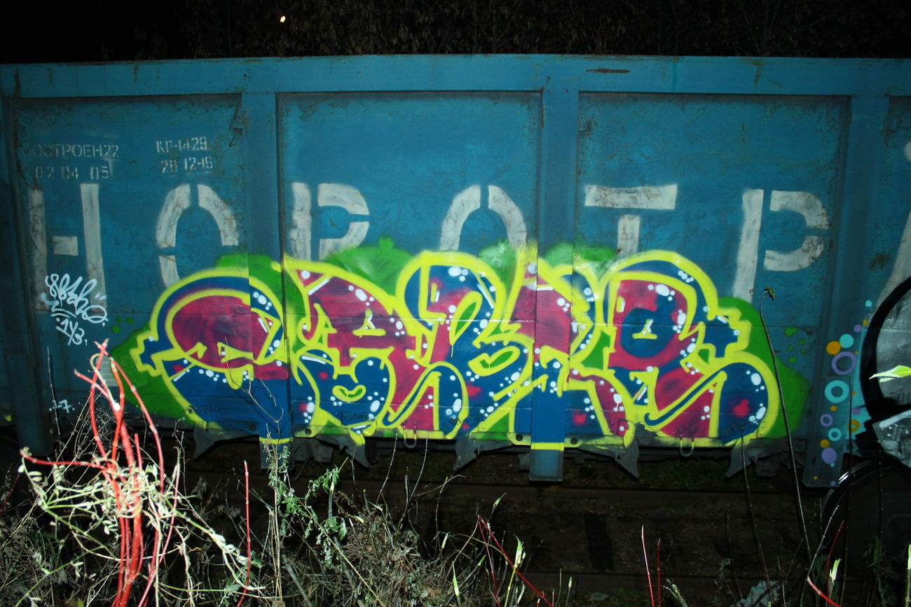 Graffiti Train - Photo by 5483r143 - freight (2017)